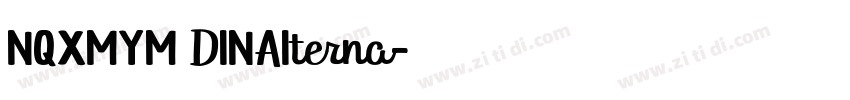NQXMYM DINAIterna字体转换